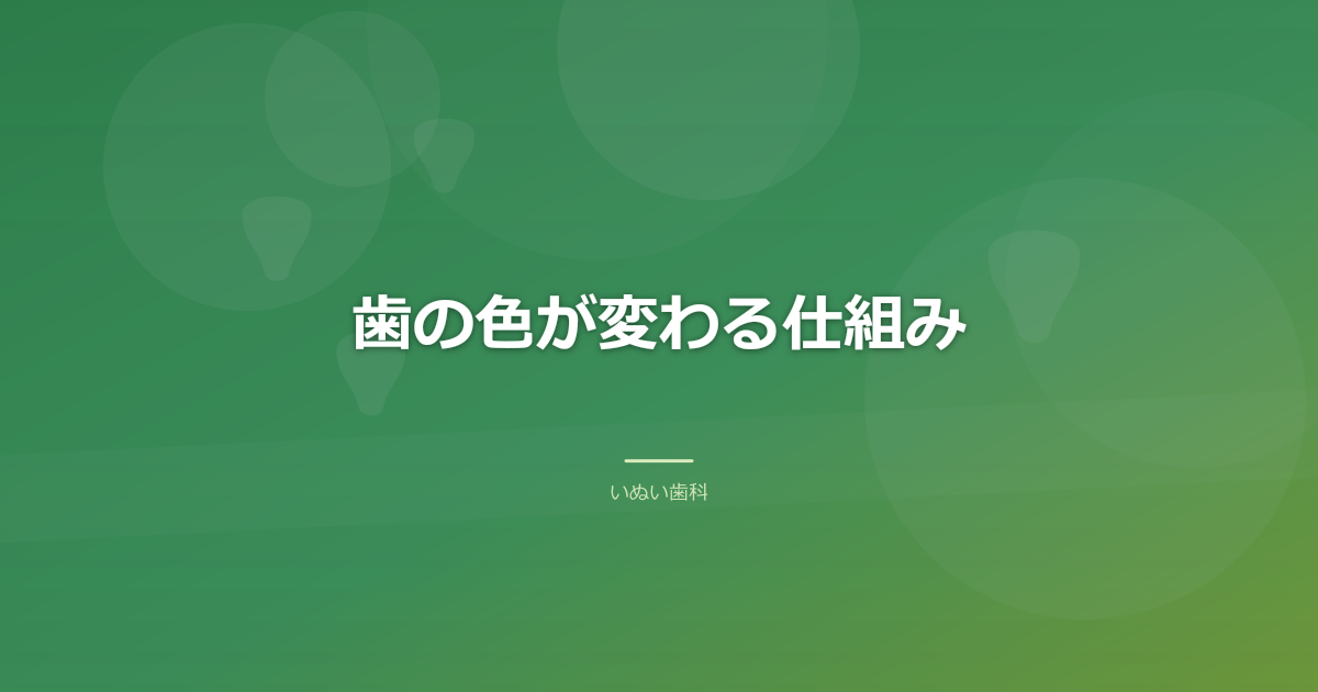 歯の色が変わる仕組み｜表面と内部、二つの要因